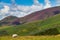 Grazing sheep in Latrigg overlooking Keswick and Derwent Water,