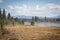 Grazing Sheep on Prosser Reservoir