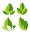 Grean leaves as logotypes for eco companies set