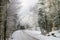 Greasy winter road in beautiful forest