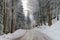 Greasy winter road in beautiful forest