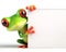 great 3d illustration of a funny red eyed tree frog with a sign for copy space