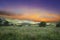 Great African savanna grassland with hills and flowers at twilight in Gauteng