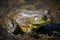 The Great American Bullfrog