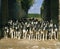 Great Anglo-French White and Black Hound, Pack for Fox hunting