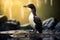 Great auk extinct animal