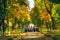 Great autumnal park and people in excursion in historical estate of Kachanivka