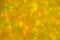Great background out of focus. Abstract orange background with green shades. The best image to decorate any holiday and happy