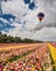 Great balloon flies over flower field