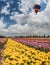 Great balloon flies over flower field