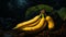 A Great Banana: Hyperrealistic Digital Painting Of Three Soggy Bananas