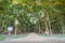 Great banyan tree, Howrah, West Bengal, India