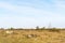 Great barren grassland Stora Alvaret in Sweden