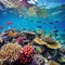 The Great Barrier: Embark on a mesmerizing underwater adventure at Australia's Great Barrier Reef