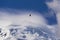 The great bird of prey over the Mont Blanc