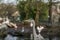 Great blue heron or Ardea herodias in front of a pond with big white birds at a vague background