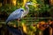 Great Blue Heron Ardea herodias in a natural setting, A Great Blue Heron is captured in Everglades National Park, Florida, USA, AI