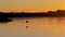 Great Blue Heron, Ardea herodias, in silhouette at sunset, flying low over a beautiful lake in Minnesota.