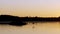 Great blue heron birds flying low over a lake after sunset.