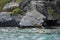 Great Blue Heron in Great Harbour, Peter Island, BVI