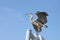 Great blue heron with wings spread