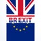 Great britian exit vote decision in brexit referendum