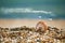 Great British summer pebble beach with sea shell