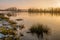 Great bulrush growing in the foreground of a lake