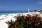 Great Cayman Marriott Beach Resort