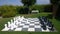 Great chess in the park on a green lawn