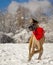 Great Dane cavorting in snow wearing scarf