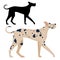 Great Dane Dog Breed in Cartoon and Outline