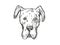 Great Dane Dog Breed Cartoon Retro Drawing