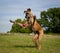 Great Dane trying to catch ball