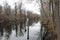 Great Dismal Swamp, North Carolina