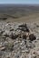 The Great Divide Basin and Red Desert, Wyoming