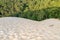 The Great Dune of Pyla or Pilat invading the pine forest in Arcachon Bay, France.