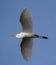 Great egret flying high in the sky