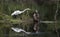 Great Egret swamp bird reflecting in water