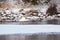 Great Egret walking on the ice of frozen river in sunlight in the winter