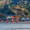 Great floating gate (O-Torii) on Miyajima island