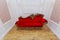 Great fragment of view of luxury interior guest room with old vintage retro, bright red couch, sofa on hardwood floor