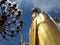 The great giant buddha of Bangkok. 32 meter tall Buddha at Wat Intharawihan in Bangkok, Thailand