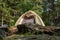 Great gorgeous closeup view of cozy inviting camp tent in pine trees forest
