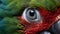 Great Green Macaw\\\'s parrot close up eye