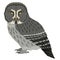 Great grey owl Birds collection Vector illustration Isolated object