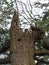 Great horned Owl baby resting in the nest