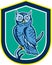 Great Horned Owl on Branch Shield Retro