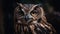 Great Horned Owl (Strix nebulosa). Portrait. Background with a copy space.