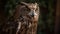 Great Horned Owl (Strix nebulosa). Portrait. Background with a copy space.